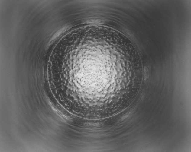 X0000078020349200611031502