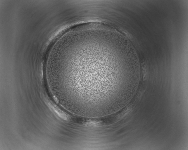 X0000078020350200611031502