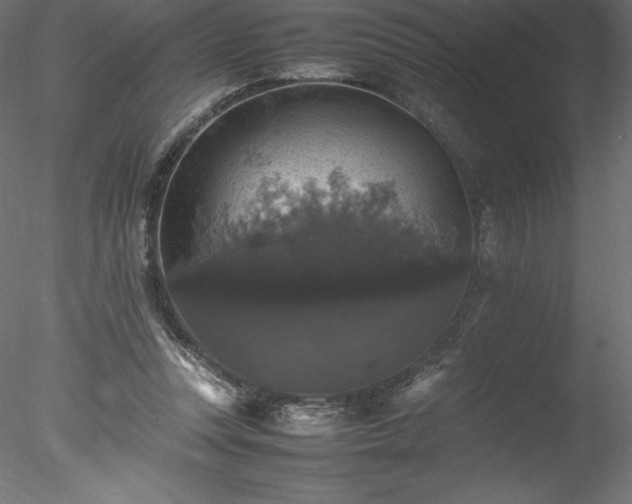 X0000078020351200611031502