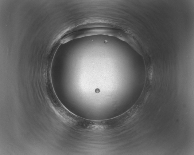 X0000078020352200611031502