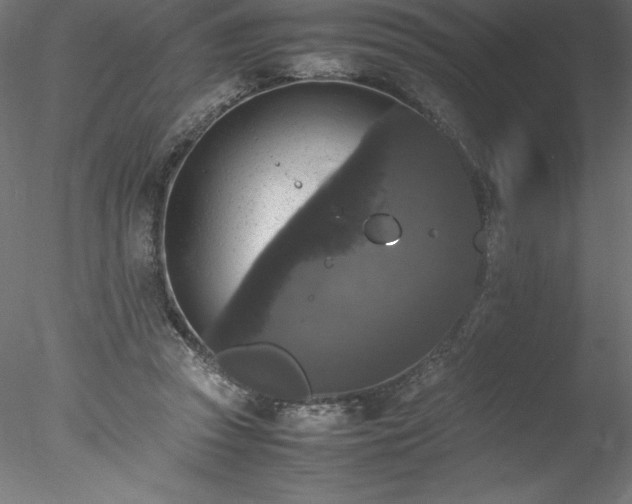 X0000078020353200611031502