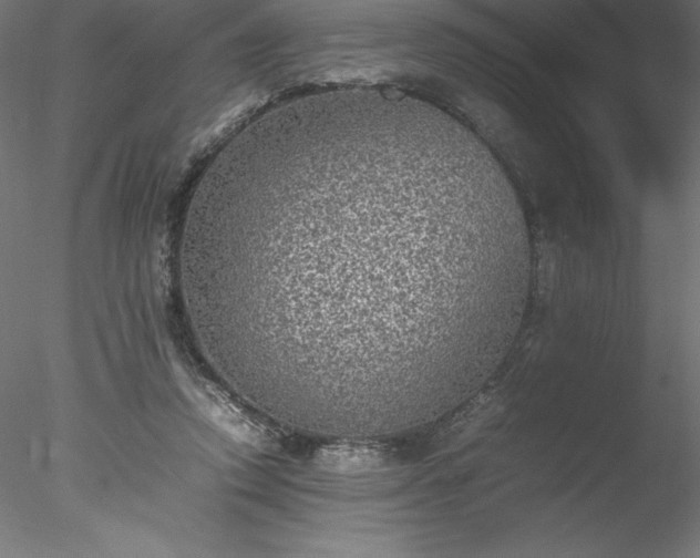 X0000078020354200611031502