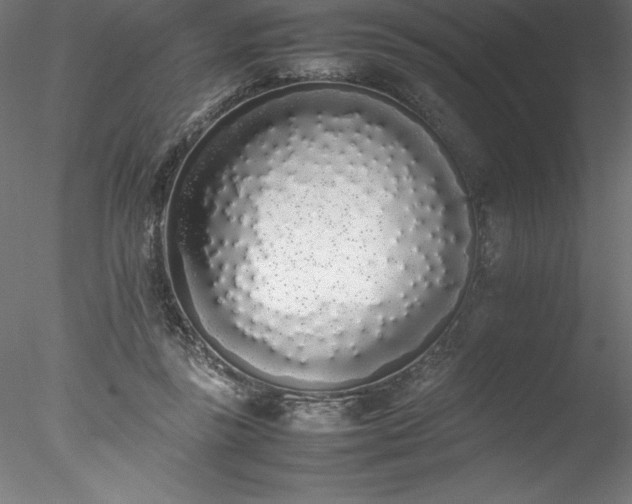 X0000078020355200611031502