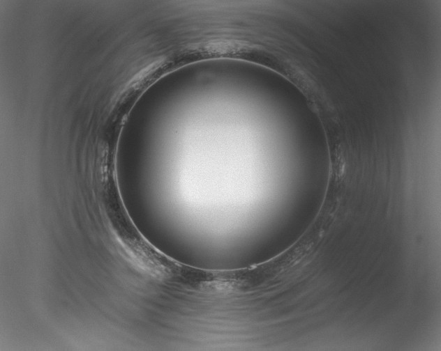 X0000078020356200611031502