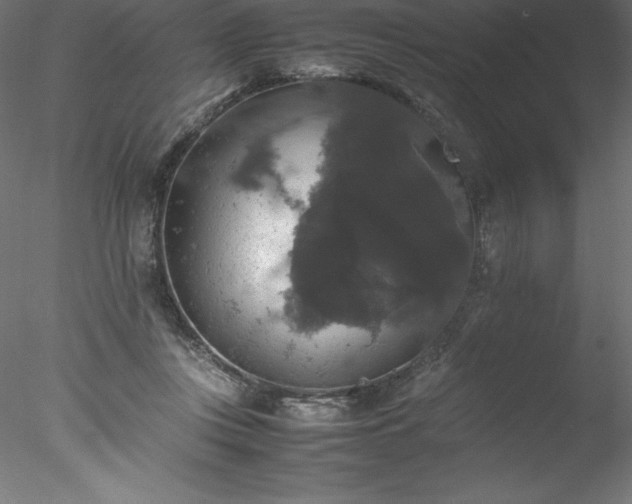 X0000078020359200611031502