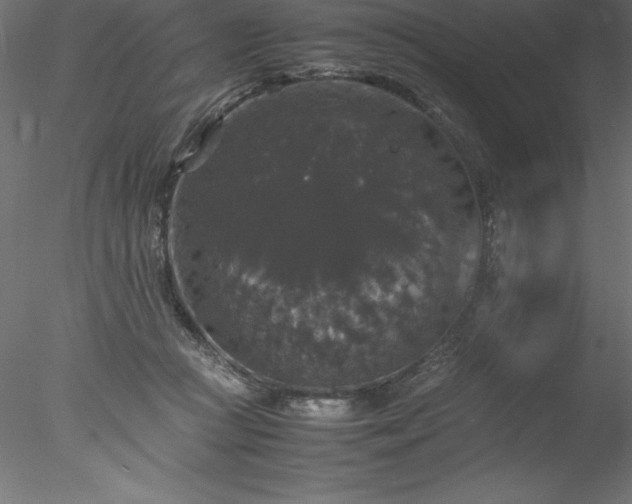 X0000078020361200611031502