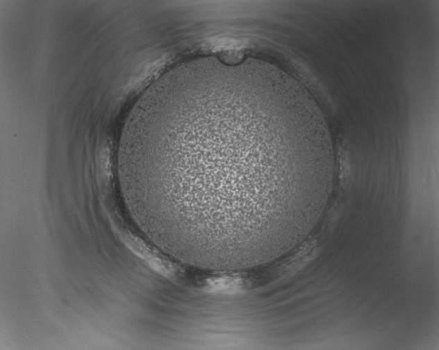 X0000078020362200611031502