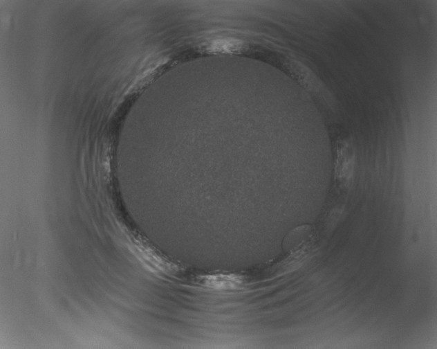 X0000078020363200611031502