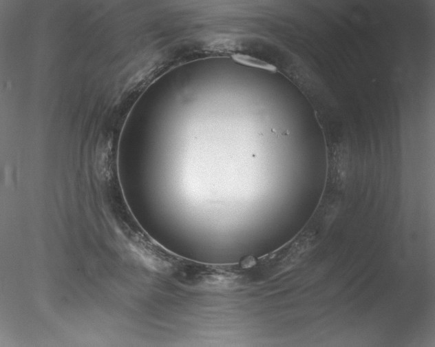 X0000078020364200611031502