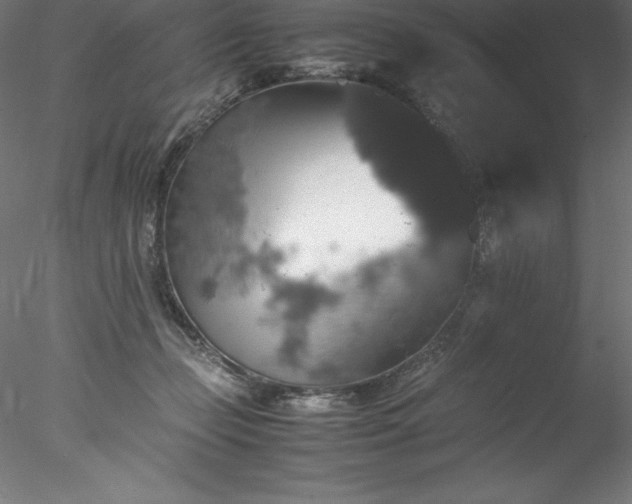 X0000078020365200611031502