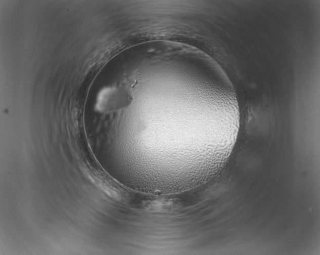 X0000078020366200611031502