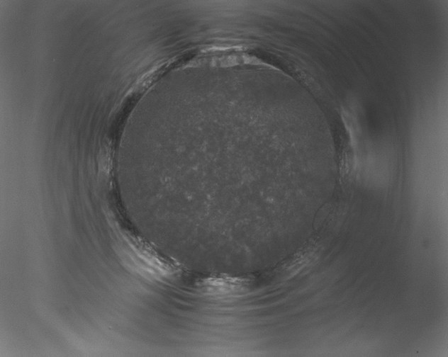 X0000078020367200611031502