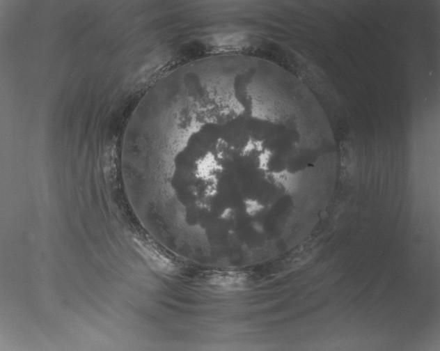 X0000078020369200611031502