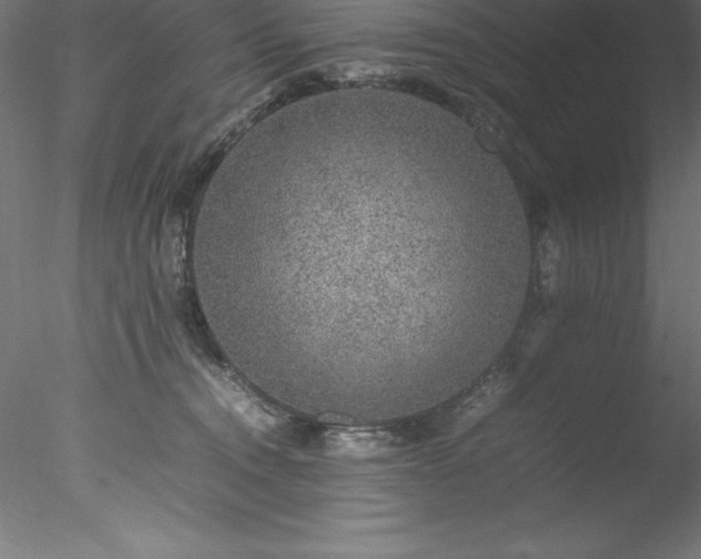 X0000078020372200611031502