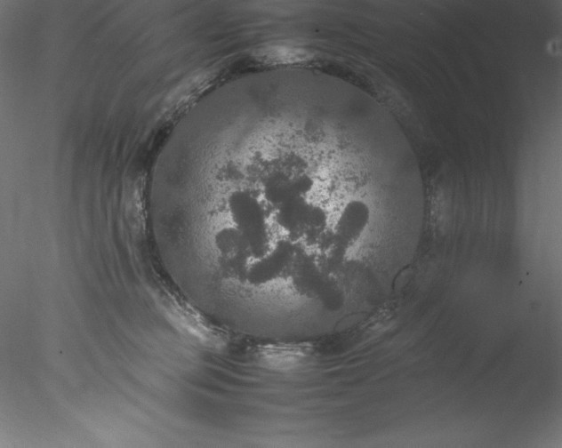 X0000078020373200611031502