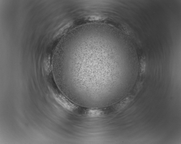 X0000078020376200611031502