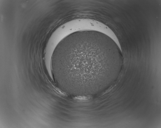 X0000078020381200611031502