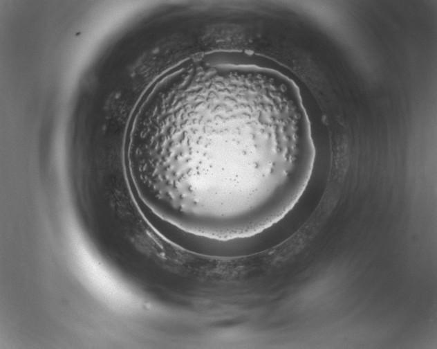 X0000078020383200611031502