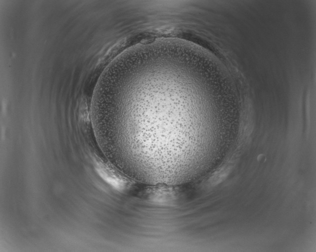 X0000078020384200611031502