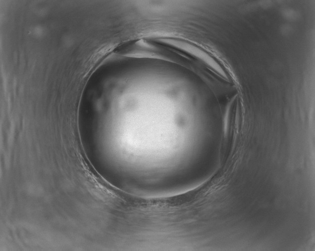 X0000078020385200611031501