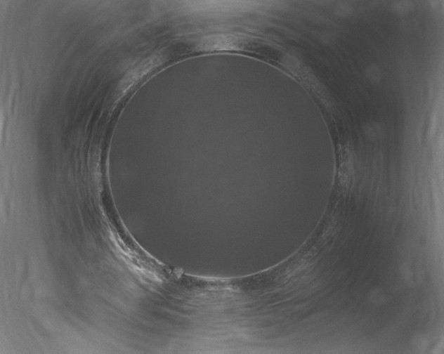 X0000078020386200611031501