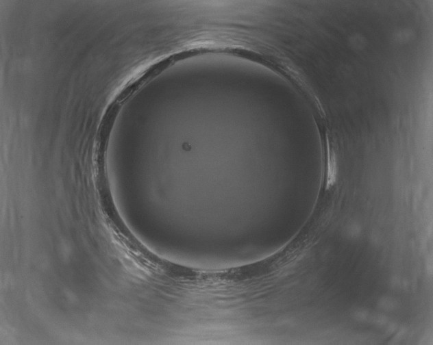 X0000078020387200611031501