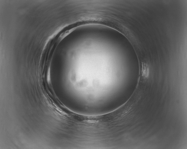 X0000078020388200611031501