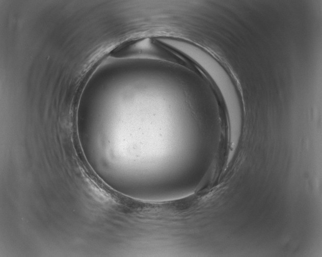 X0000078020389200611031501