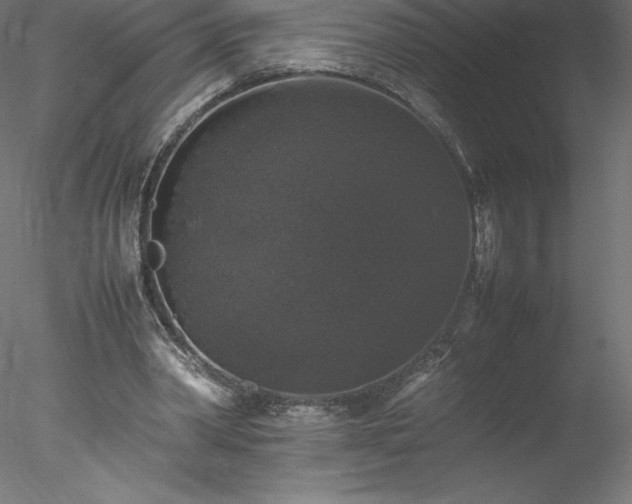 X0000078020390200611031501