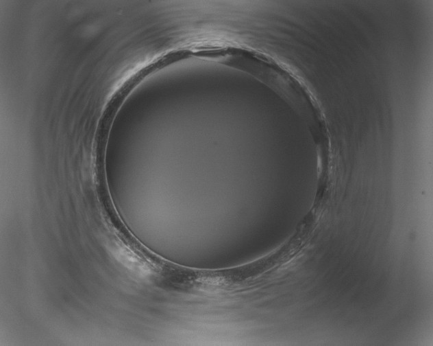 X0000078020391200611031501