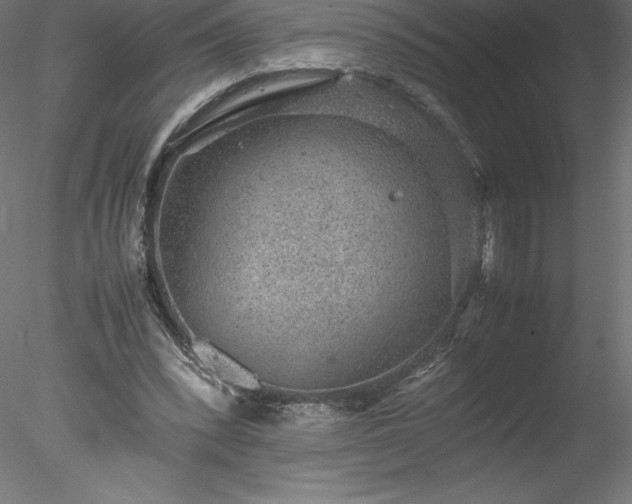 X0000078020392200611031501