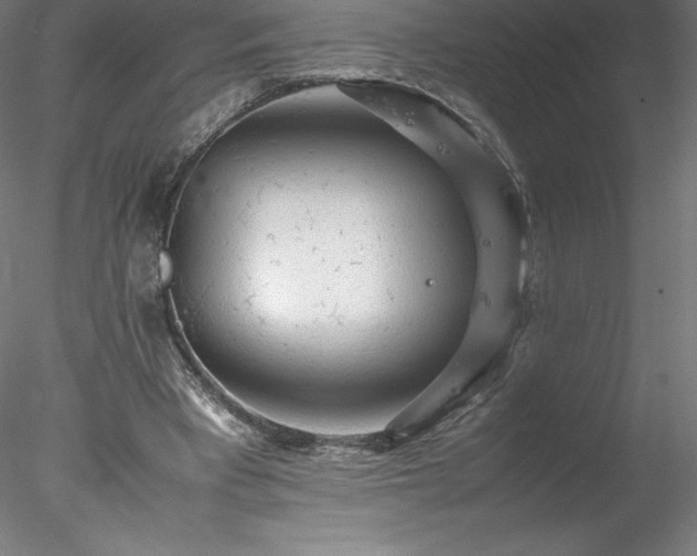 X0000078020393200611031501