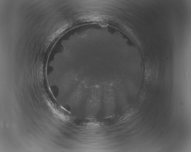 X0000078020394200611031501