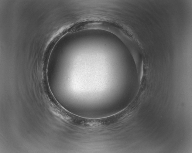 X0000078020395200611031501