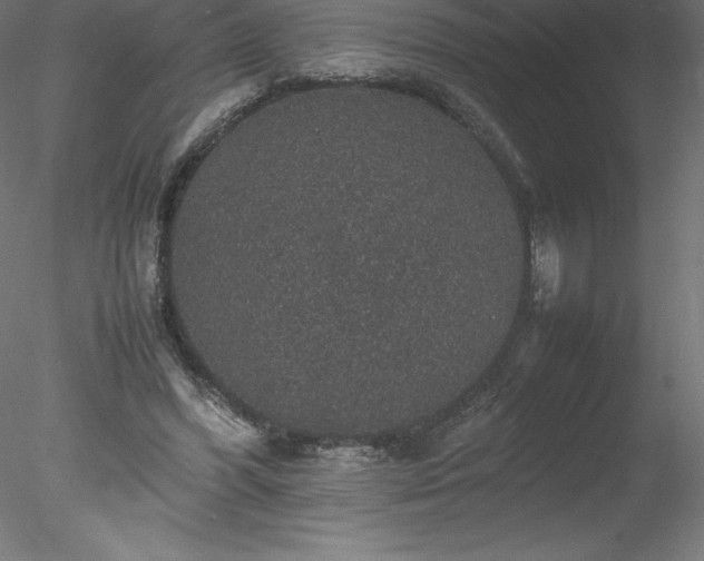 X0000078020396200611031501