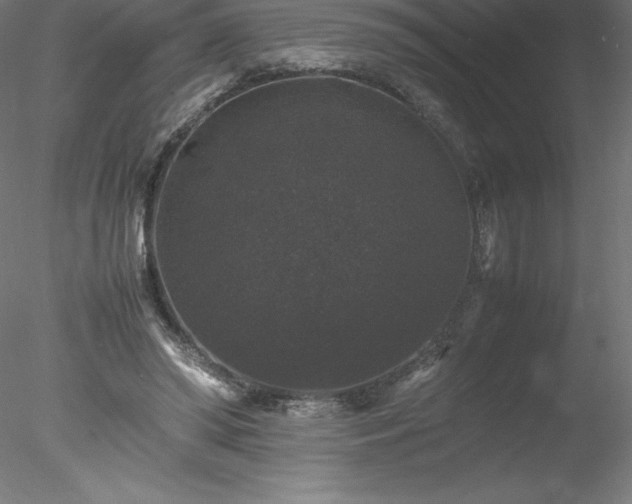 X0000078020398200611031501