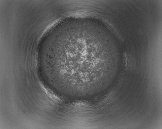 X0000078020400200611031501