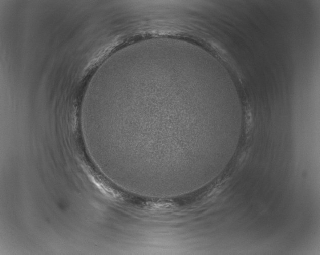 X0000078020401200611031501