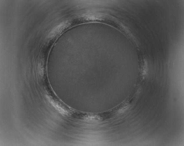 X0000078020402200611031501