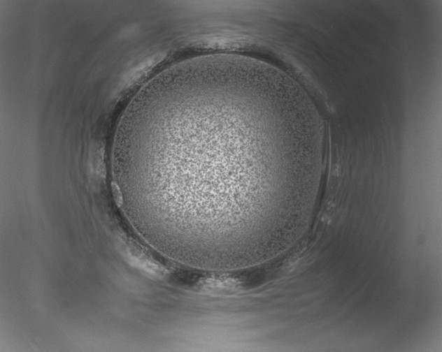 X0000078020403200611031501