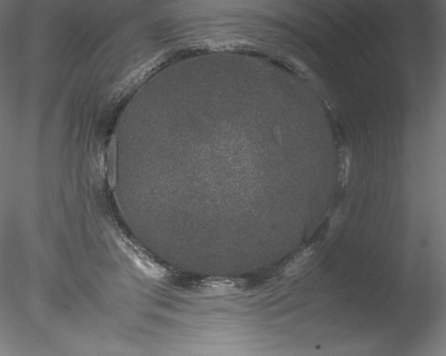 X0000078020405200611031501