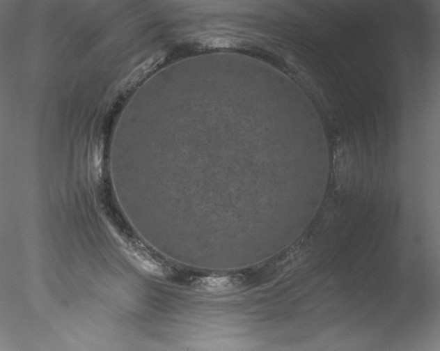 X0000078020406200611031501