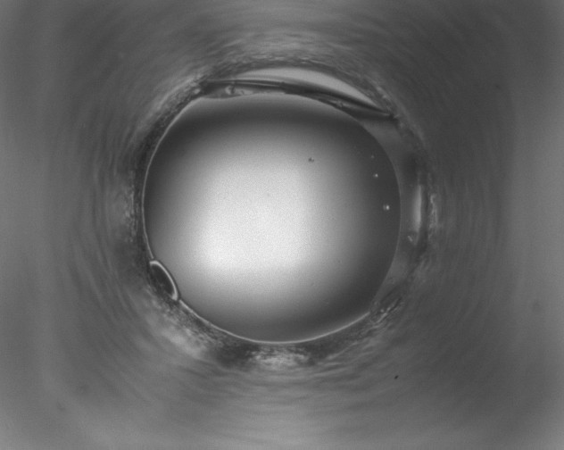 X0000078020407200611031501