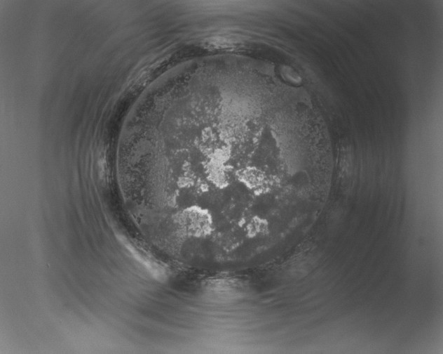 X0000078020408200611031501