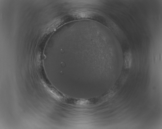 X0000078020410200611031501