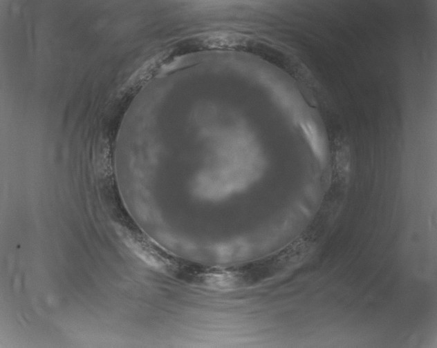 X0000078020411200611031501