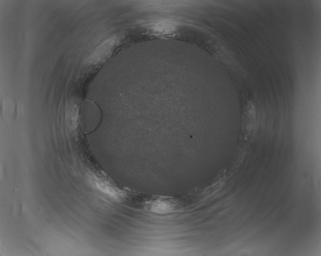 X0000078020412200611031501