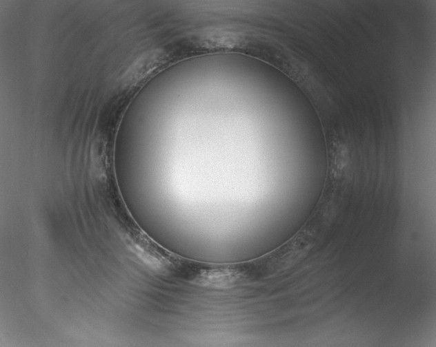 X0000078020414200611031501