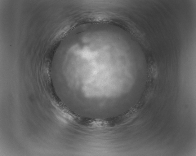 X0000078020415200611031501