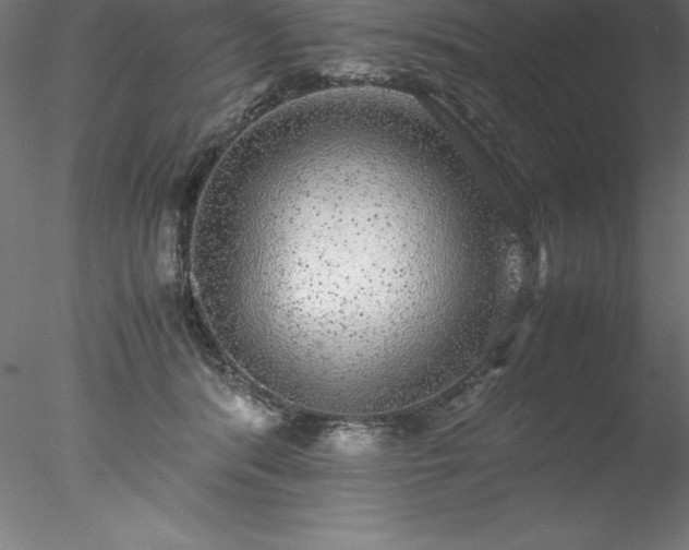 X0000078020416200611031501